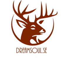 a logo for Dreamsoul.se